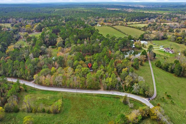 55 Dipping Vat Road, New Waverly, TX 77358