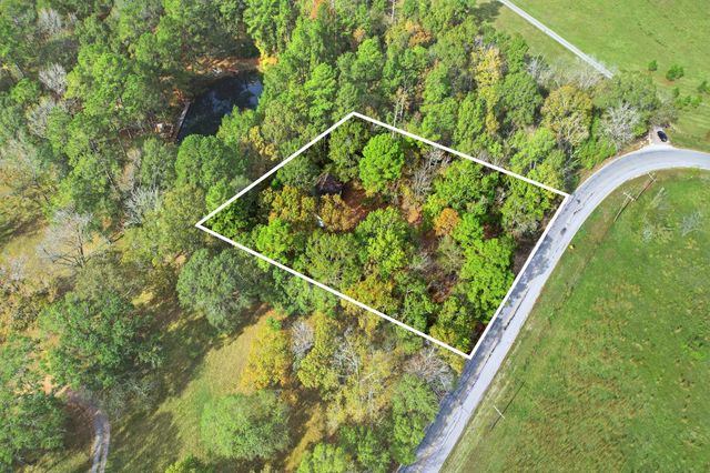 55 Dipping Vat Road, New Waverly, TX 77358