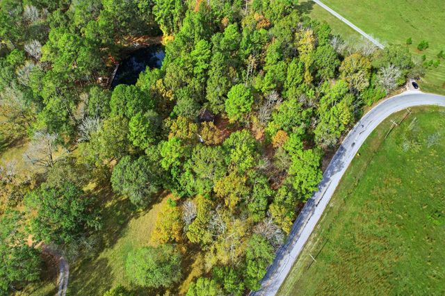 55 Dipping Vat Road, New Waverly, TX 77358