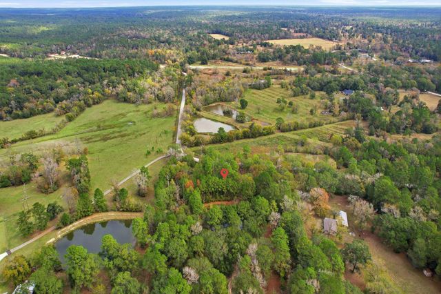 55 Dipping Vat Road, New Waverly, TX 77358