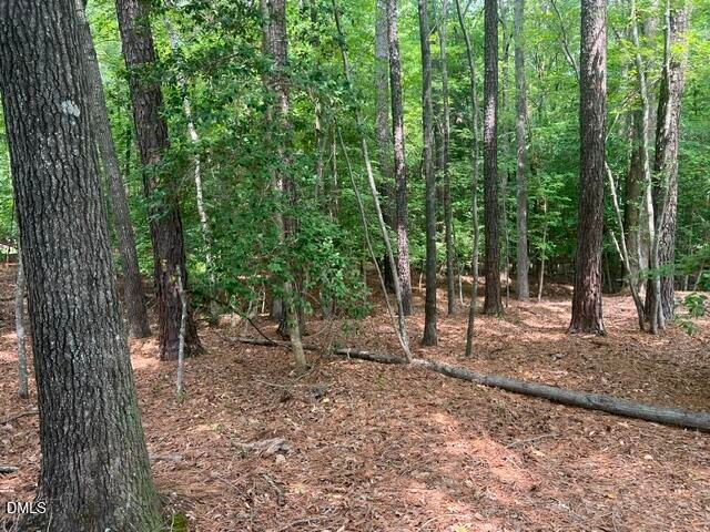 190 Buckaroo Drive, Louisburg, NC 27549
