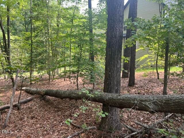 190 Buckaroo Drive, Louisburg, NC 27549