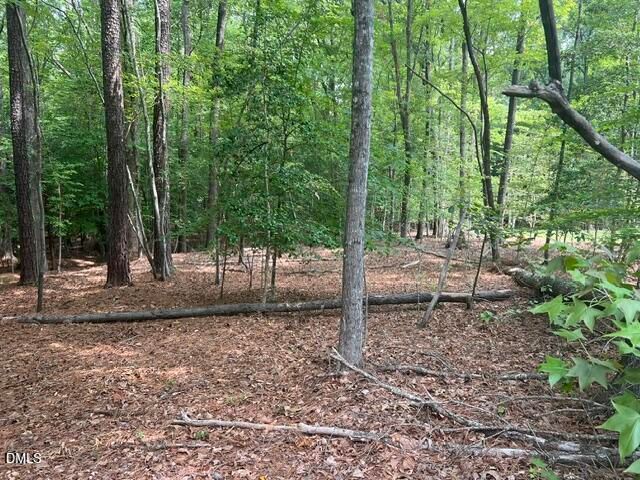 190 Buckaroo Drive, Louisburg, NC 27549