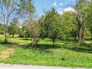 7140 Lightning Way, Powell, TN 37849