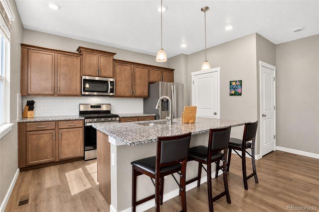 2051 Rosette Lane, Castle Rock, CO 80104