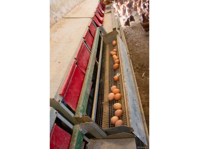 3850 County Road 129, Westcliffe, CO 81252