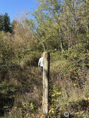 0 219th Avenue SW, Rochester, WA 98531