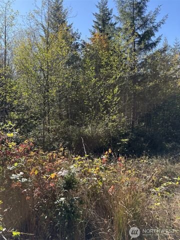 0 219th Avenue SW, Rochester, WA 98531