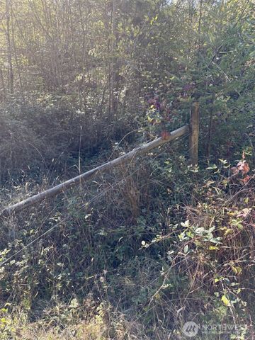 0 219th Avenue SW, Rochester, WA 98531