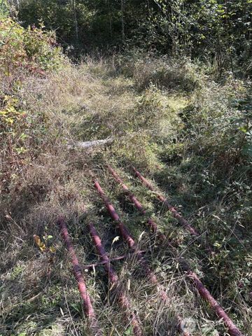 0 219th Avenue SW, Rochester, WA 98531