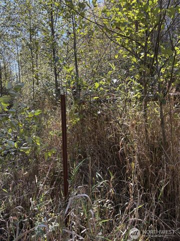 0 219th Avenue SW, Rochester, WA 98531