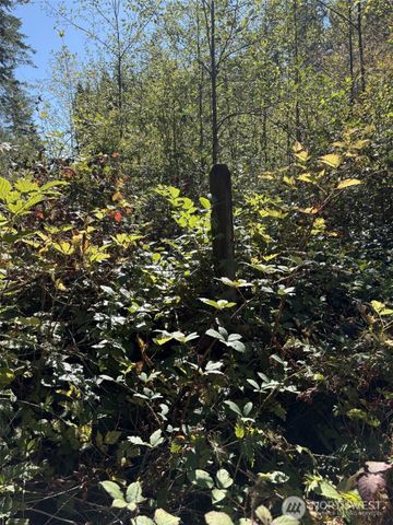 0 219th Avenue SW, Rochester, WA 98531