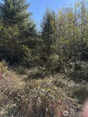 0 219th Avenue SW, Rochester, WA 98531