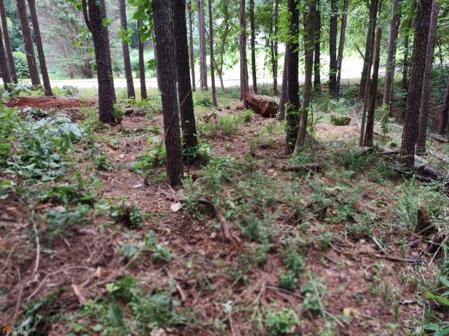 226 Farmbrook Parkway, Stockbridge, GA 30281