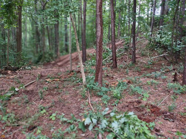 226 Farmbrook Parkway, Stockbridge, GA 30281