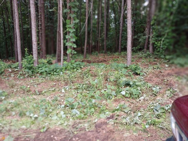 226 Farmbrook Parkway, Stockbridge, GA 30281