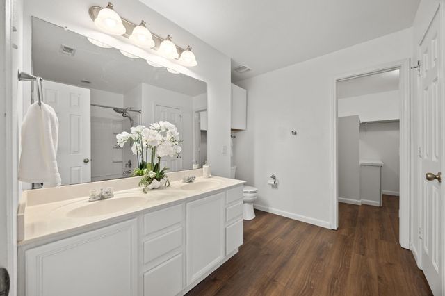 113 Bexar Forest CV, Elgin, TX 78621