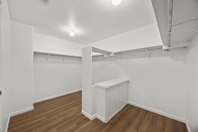 113 Bexar Forest CV, Elgin, TX 78621
