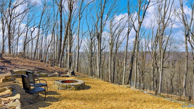 1076 County Road 81, Fort Payne, AL 35967