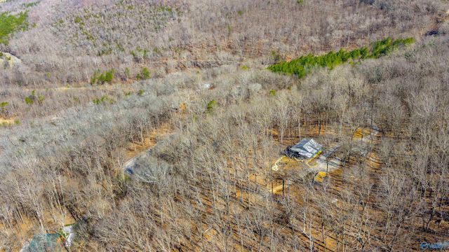 1076 County Road 81, Fort Payne, AL 35967