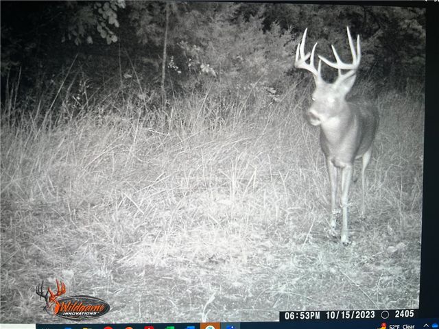 1065 County Road 523, Berryville, AR 72616