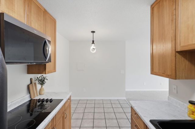 2616 Harriet Avenue 204, Minneapolis, MN 55408