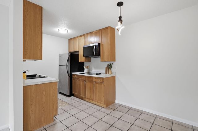 2616 Harriet Avenue 204, Minneapolis, MN 55408