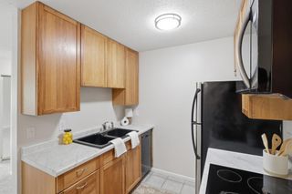 2616 Harriet Avenue 204, Minneapolis, MN 55408
