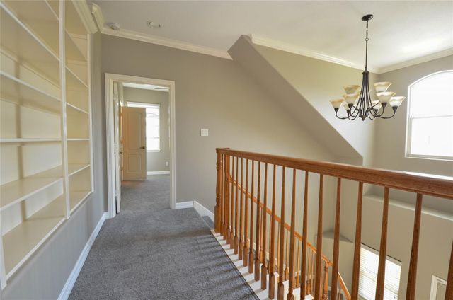 6125 Alleluia Trail, Manvel, TX 77578