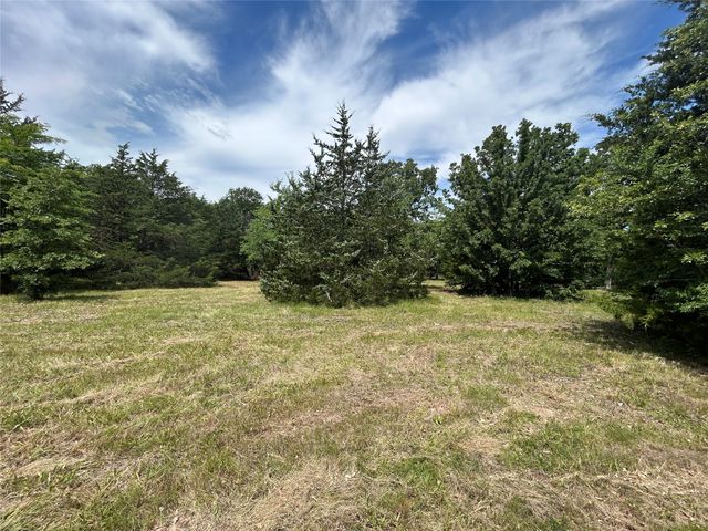 Lot 3 North Shore Road, Quinlan, TX 75474