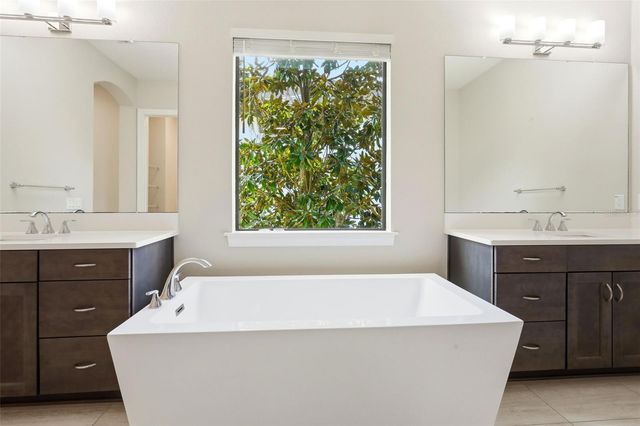 14907 TAVARES MILL AVENUE, Lithia, FL 33547