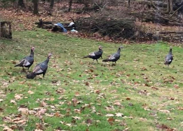 400 Garver Road, Mansfield, OH 44903