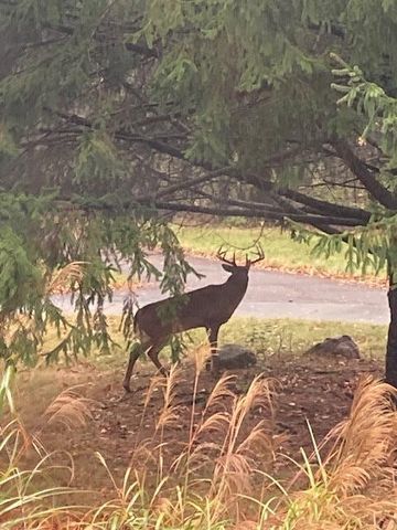 400 Garver Road, Mansfield, OH 44903