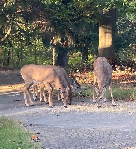 400 Garver Road, Mansfield, OH 44903