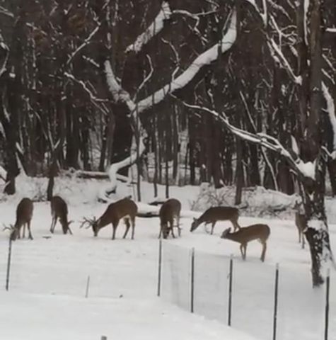 400 Garver Road, Mansfield, OH 44903