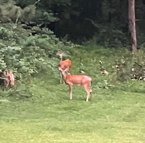 400 Garver Road, Mansfield, OH 44903