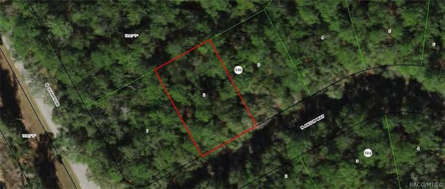 9183 N Anton Way, Citrus Springs, FL 34434