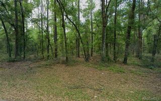 9183 N Anton Way, Citrus Springs, FL 34434