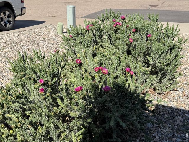 476 Expedition Ln, Johnstown, CO 80534