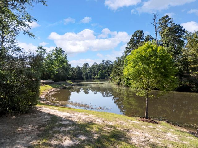 119 W Cresta Bend Place, Spring, TX 77389