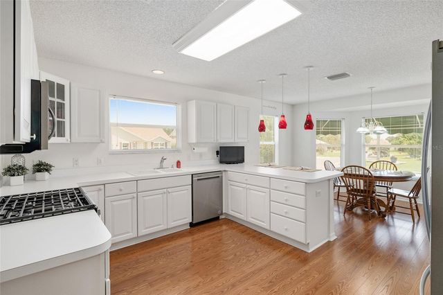 17602 SE 82ND WOODLAWN AVENUE, The Villages, FL 32162