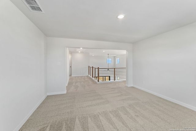 17143 Elder Walnut Drive, Elmendorf, TX 78112