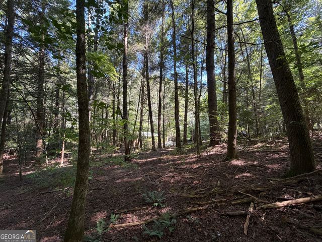 10 Fightingtown Drive, Blue Ridge, GA 30513