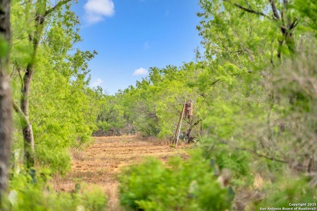 2654 Matthews Ranch Road, Dilley, TX 78017