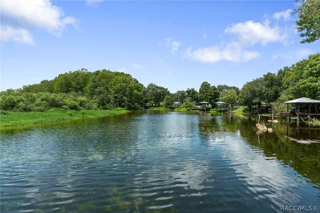 9552 E Tsala Apopka Drive, Floral City, FL 34436