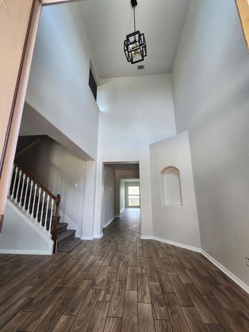 4830 Gingham Check Court, Katy, TX 77449