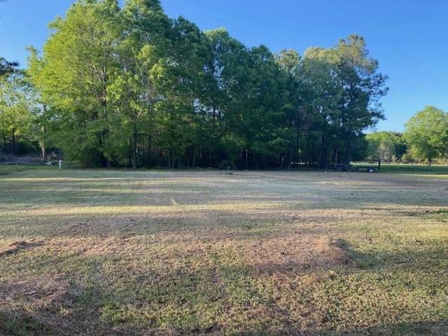 196 Bailly Lane, Livingston, TX 77351