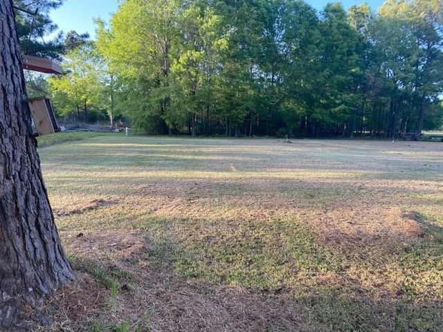 196 Bailly Lane, Livingston, TX 77351