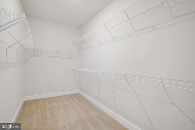 17783 WHITE CAMPION WAY, Dumfries, VA 22026