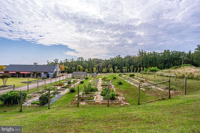 17783 WHITE CAMPION WAY, Dumfries, VA 22026